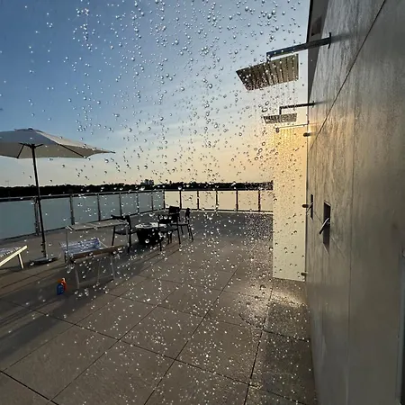 Viola Con Solarium *