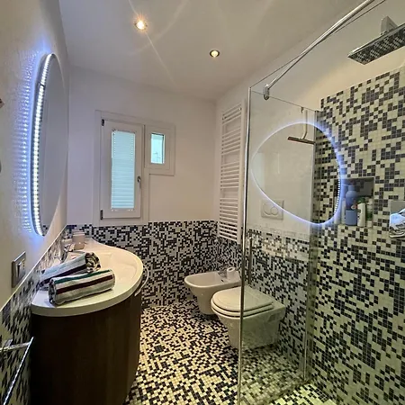 Viola Con Solarium *